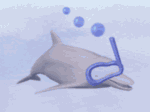 golfinho-imagem-animada-0082