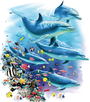 golfinho-imagem-animada-0123