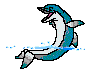 golfinho-imagem-animada-0138