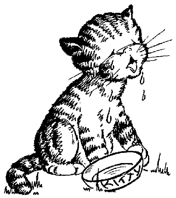 desenho-colorir-gato-imagem-animada-0006