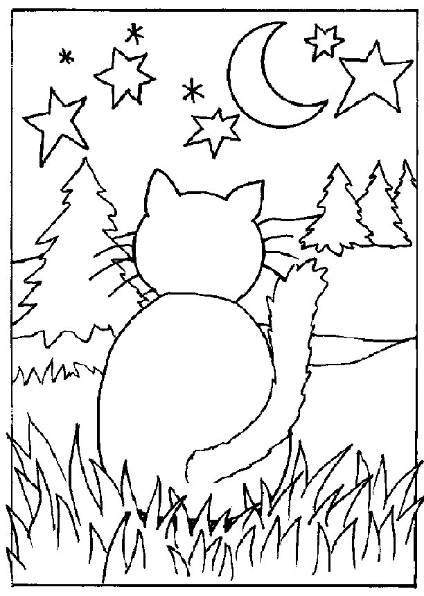 desenho-colorir-gato-imagem-animada-0011