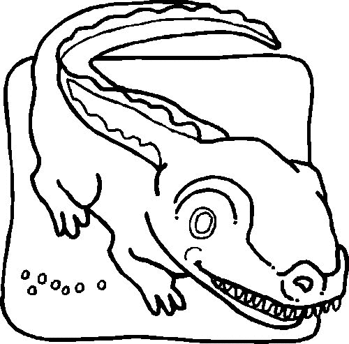 desenho-colorir-crocodilo-imagem-animada-0006