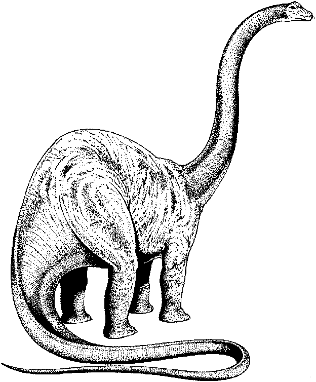 desenho-colorir-dinossauro-imagem-animada-0006