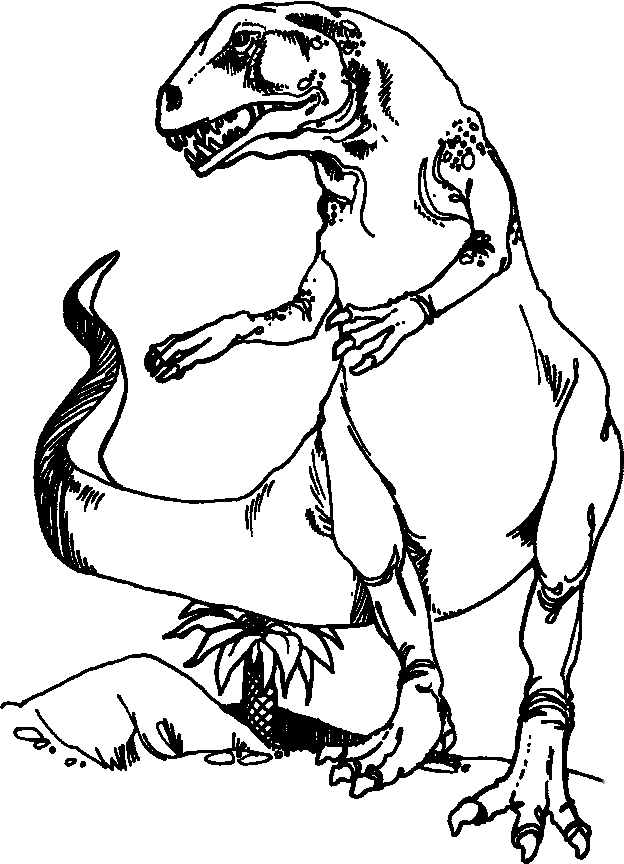 desenho-colorir-dinossauro-imagem-animada-0012