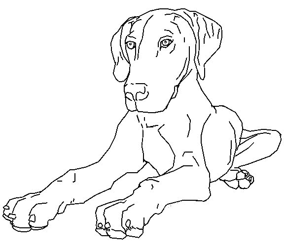 desenho-colorir-cachorro-imagem-animada-0007