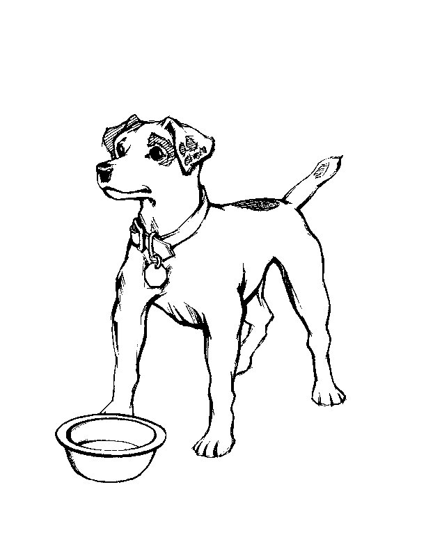 desenho-colorir-cachorro-imagem-animada-0015