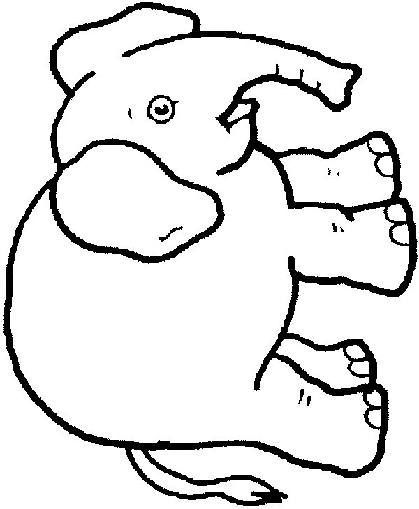 desenho-colorir-elefante-imagem-animada-0002