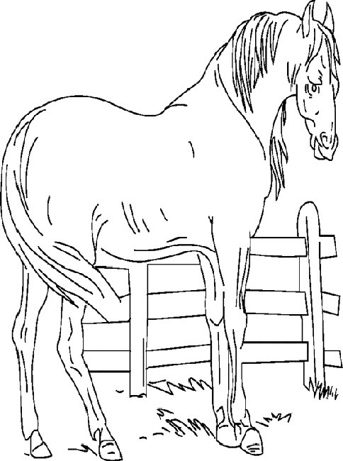 desenho-colorir-animal-fazenda-imagem-animada-0011