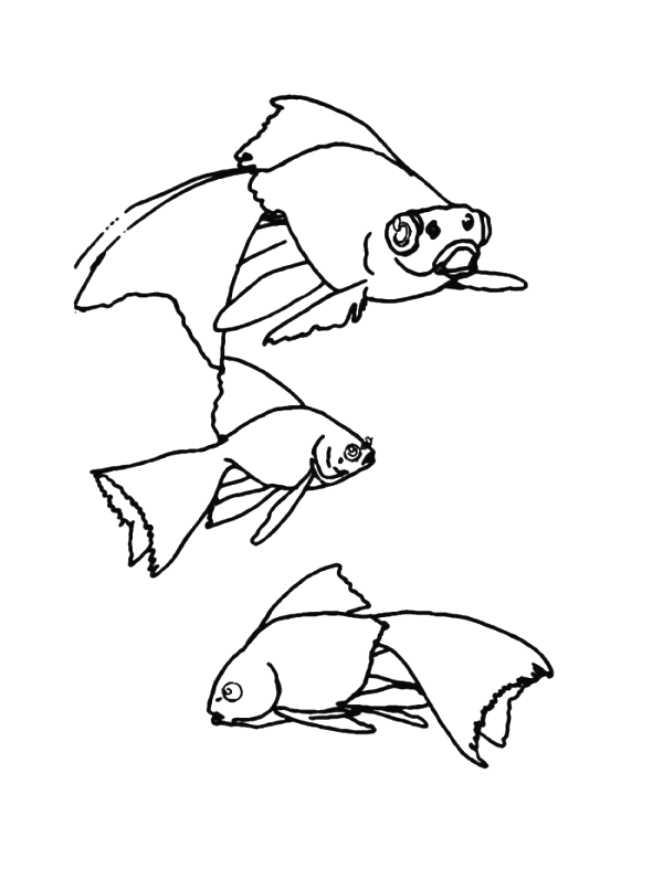 desenho-colorir-peixe-imagem-animada-0043