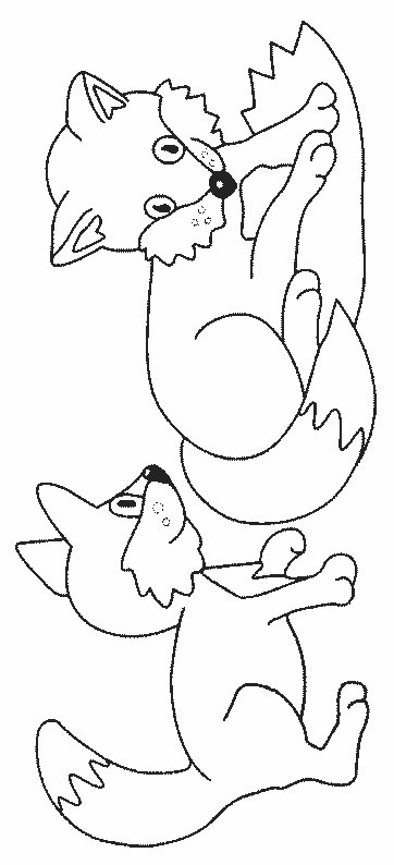 desenho-colorir-raposa-imagem-animada-0015