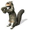 esquilo-imagem-animada-0008