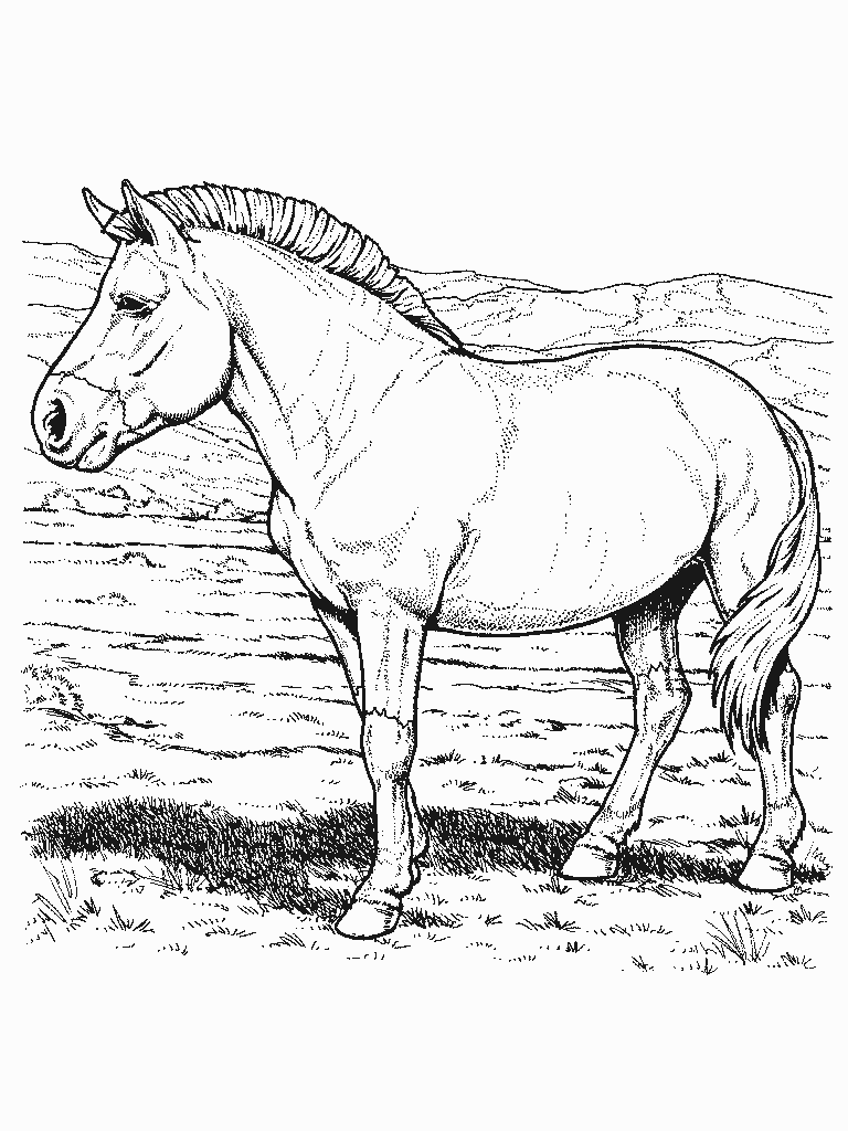 desenho-colorir-cavalo-imagem-animada-0002