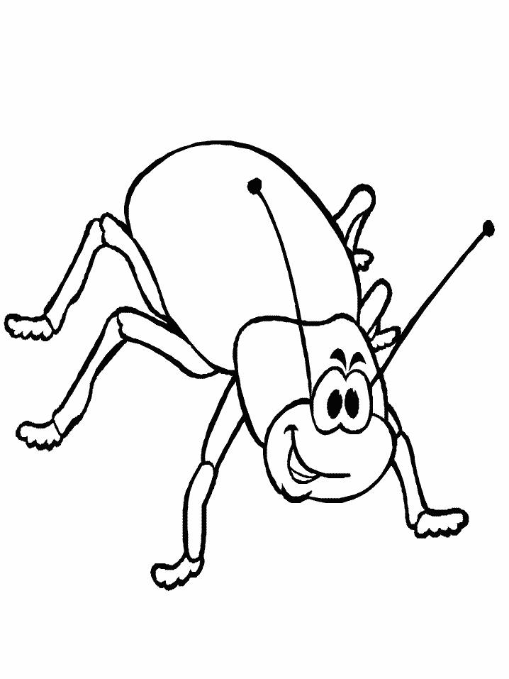 desenho-colorir-inseto-imagem-animada-0006