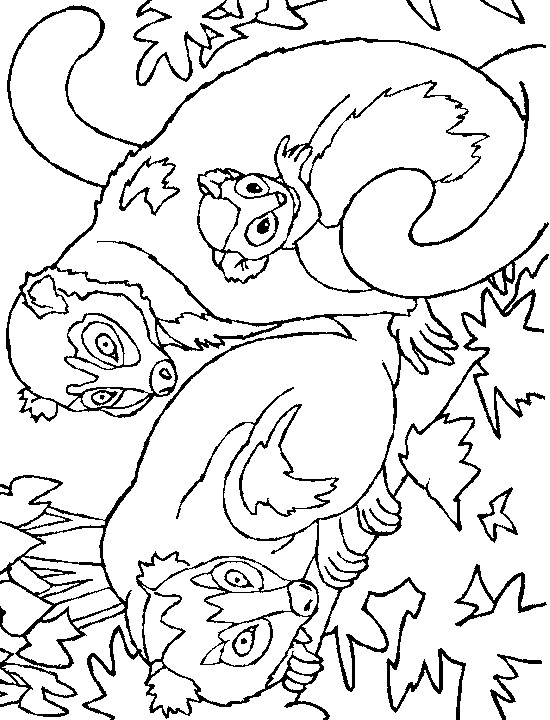 desenho-colorir-macaco-imagem-animada-0005