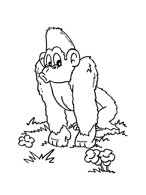 desenho-colorir-macaco-imagem-animada-0020