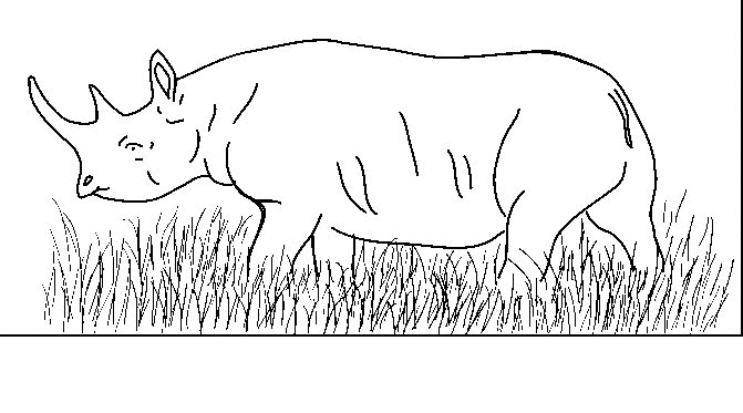 desenho-colorir-rinoceronte-imagem-animada-0007