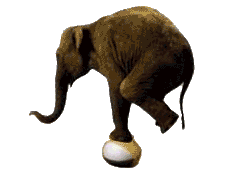 elefante-imagem-animada-0459