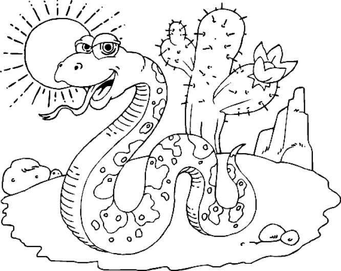 Desenhos para colorir – Cobra