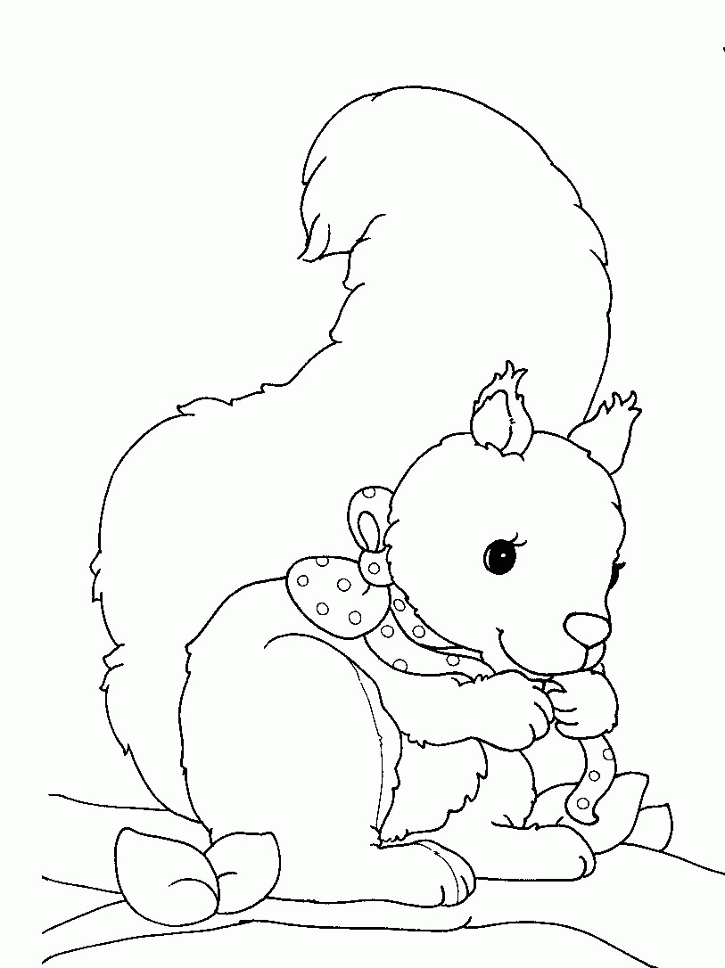 desenho-colorir-esquilo-imagem-animada-0016