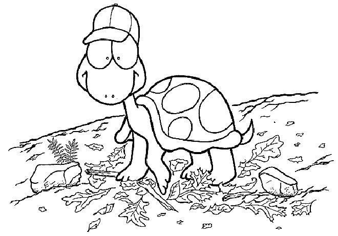 desenho-colorir-tartaruga-imagem-animada-0003