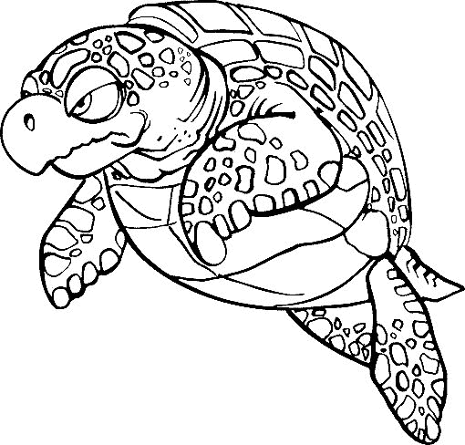 desenho-colorir-tartaruga-imagem-animada-0007