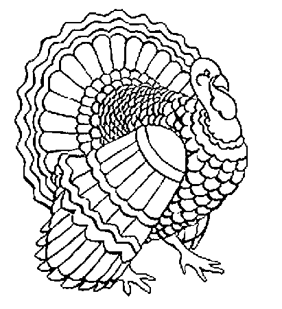 desenho-colorir-animal-imagem-animada-0086
