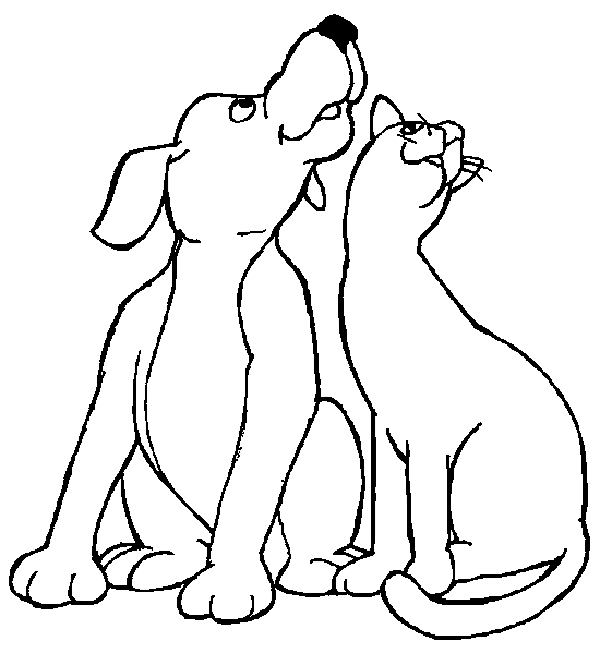 desenho-colorir-animal-imagem-animada-0089