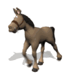 burro-imagem-animada-0044
