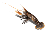 peixe-imagem-animada-0616