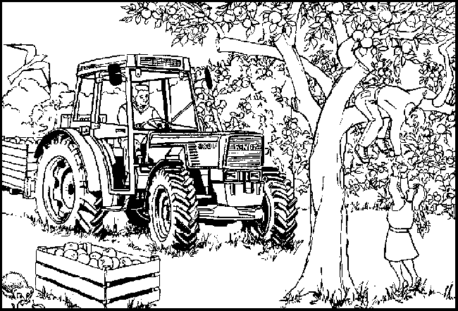 desenho-colorir-fazenda-imagem-animada-0017
