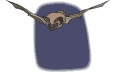 morcego-imagem-animada-0017