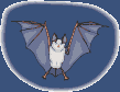 morcego-imagem-animada-0025