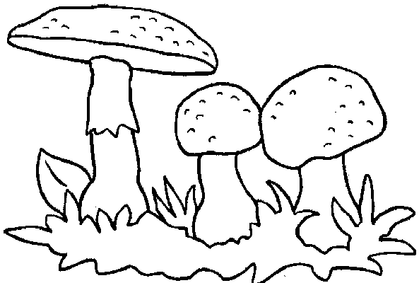desenho-colorir-cogumelo-imagem-animada-0015
