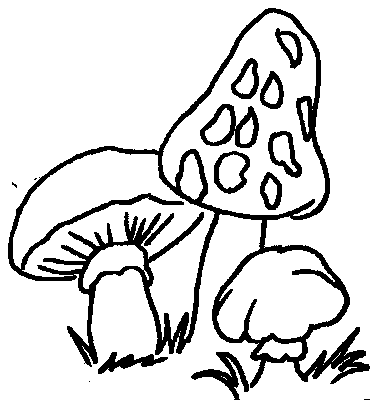 desenho-colorir-cogumelo-imagem-animada-0018