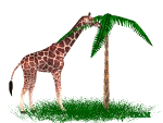 girafa-imagem-animada-0047