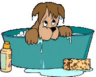 cachorro-imagem-animada-0031
