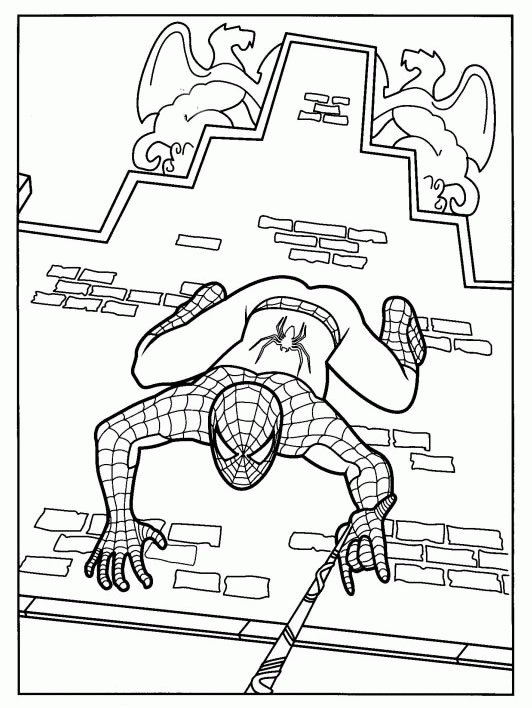 desenho-colorir-homem-aranha-e-spider-man-imagem-animada-0077