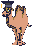 camelo-imagem-animada-0009
