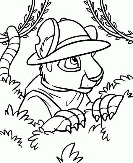 desenho-colorir-neopets-imagem-animada-0019