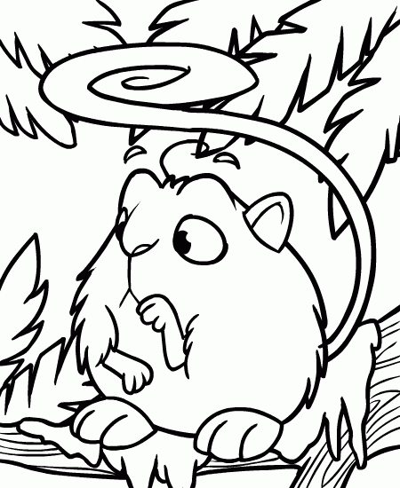 desenho-colorir-neopets-imagem-animada-0020