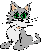 gato-imagem-animada-0051