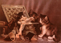 gato-imagem-animada-0195