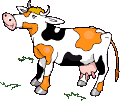 vaca-imagem-animada-0050