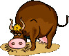 vaca-imagem-animada-0055