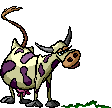 vaca-imagem-animada-0070