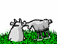 vaca-imagem-animada-0134