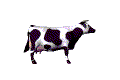 vaca-imagem-animada-0174
