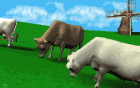 vaca-imagem-animada-0191