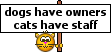 emoticon-e-smiley-gato-imagem-animada-0012