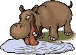 hipopotamo-imagem-animada-0069
